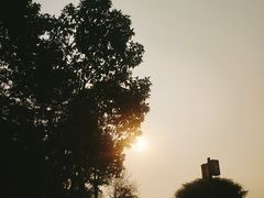 -顺峰山公园