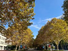 -东华大学(松江校区)