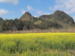 -靖西鹅泉风景区