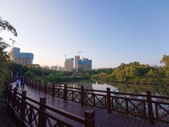 -大亚湾红树林城市湿地公园