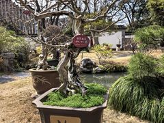-上海醉白池公园