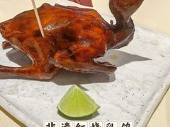 -侨美食家·粤菜(体育西路店)