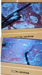 -Mr.JUDY洗个头发