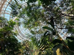 -郑州植物园