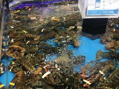 -盒马鲜生(联投广场店)