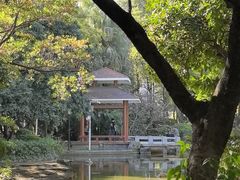 -黄埔荔枝公园
