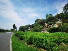 -南京银杏湖乐园