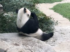 -南昌动物园