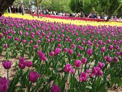 -长春公园(普阳街道)