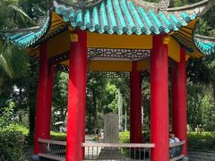 -武汉大学-樱园