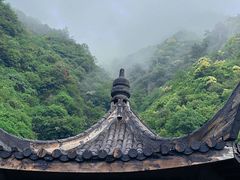 -江南天池