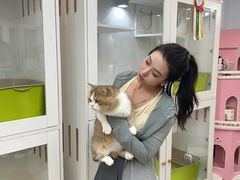 -青奢宠物·青奢猫舍