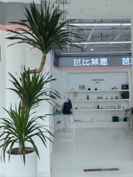 -babiline芭比莱恩半永久纹眉纹唇发际线