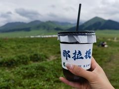 -新疆那拉提国家旅游度假区