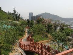 -小南山公园