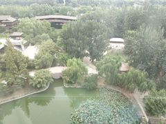 -北京民族园葉子里酒店(鸟巢店)