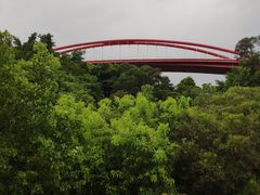 -金鸡山公园