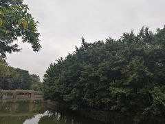 -晓港公园