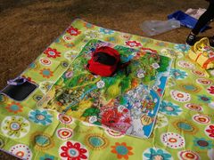 -艾溪湖湿地公园