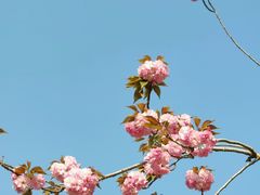 -商丘古城-应天书院