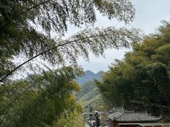 -木坑竹海