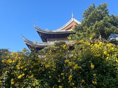 -龙华寺