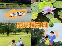 -东莞植物园
