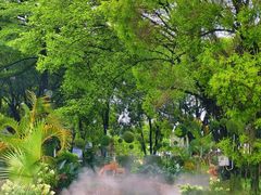 -广东花都香草世界旅游度假区