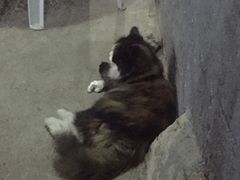 -散德行小酒馆