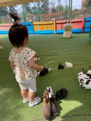 -萌宠亲子动物乐园(槐房万达店)