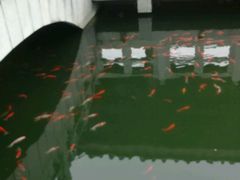 -惠州西湖丰渚园