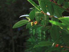 -宝界山林公园