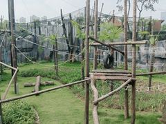 -武汉动物园