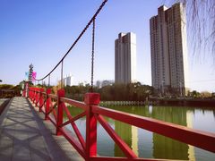 -上海市第一人民医院(松江南部)