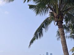 -万绿园