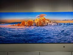 -罗红摄影艺术馆