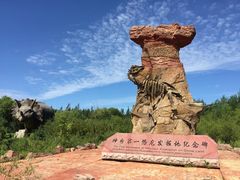 -嘉荫恐龙国家地质公园