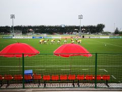 -山东鲁能乒乓球学校