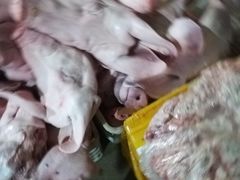 -秦皇岛海阳农副产品批发市场