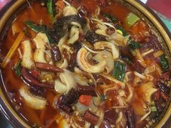 -乡土特色.冷锅鱼.牦牛肉汤锅