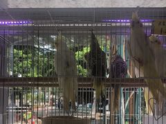 -宠爱我(南山店)