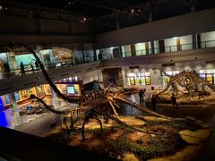 -自贡恐龙博物馆