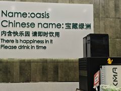 -宝藏绿洲(扬韬广场店)