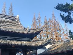 -汇龙潭