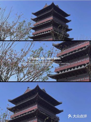 一早被喊起来去看小鹿 真是好值的一天～  朋友说祥源
