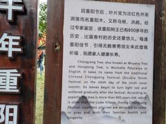-蔡家宅