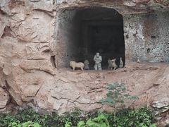 -乐山市博物馆