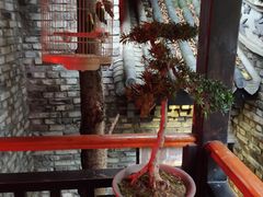 -鱼桥巷·美学川菜