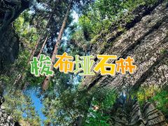 -梭布垭石林景区