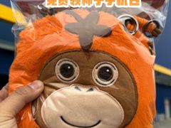 -宜家家居(四元桥商场店)